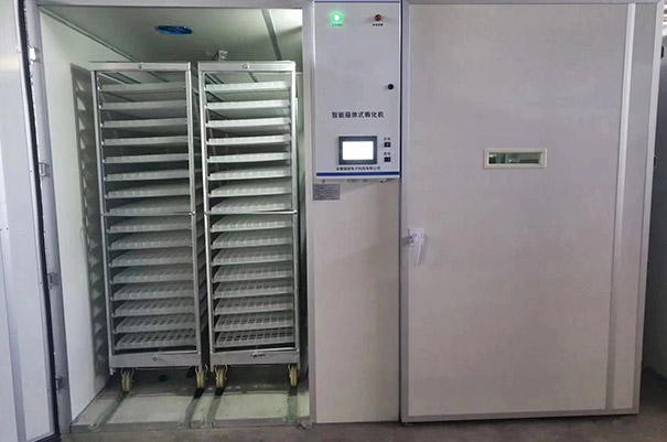 Incubator and hatcher
